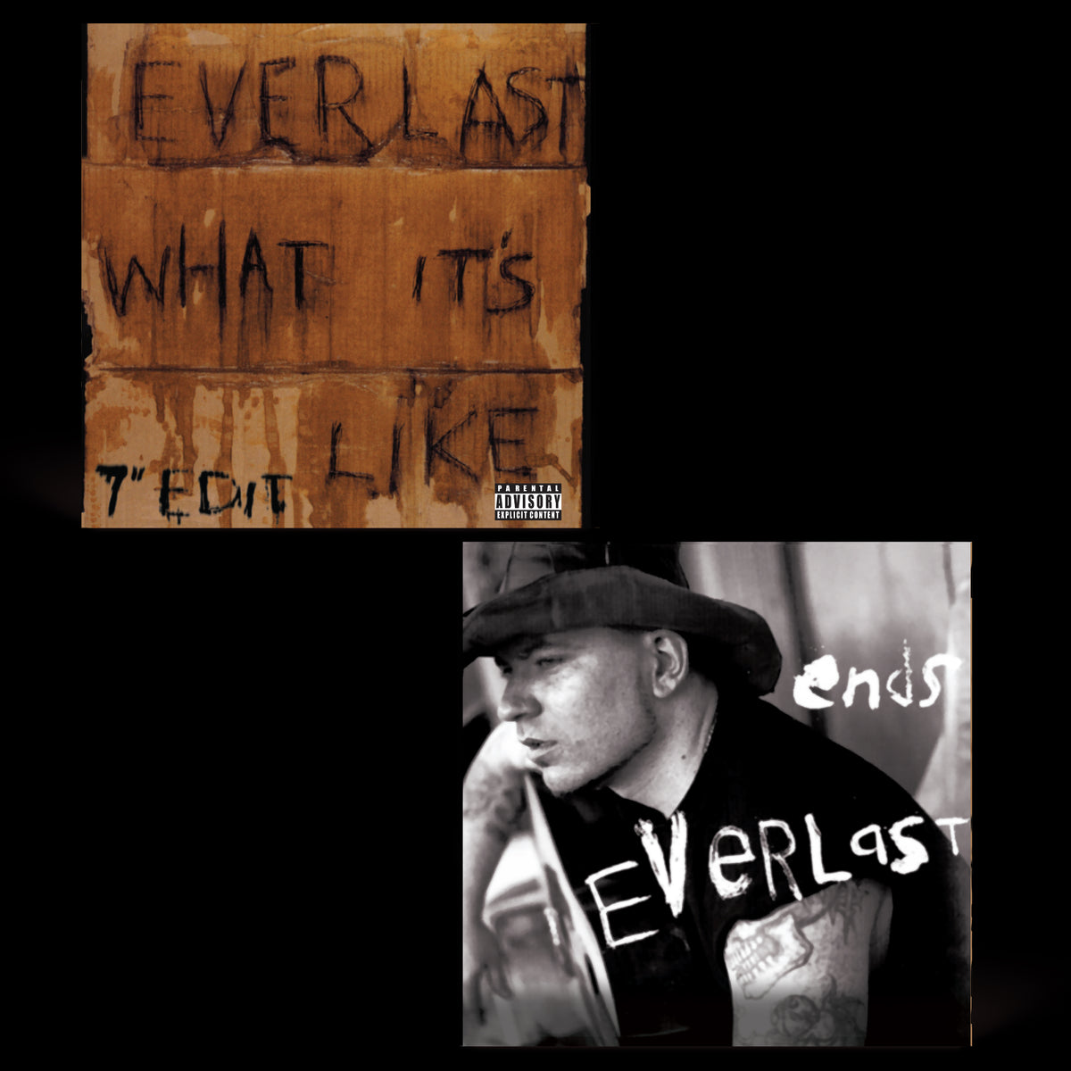 Everlast: What It's Like/Ends 7" Vinyl