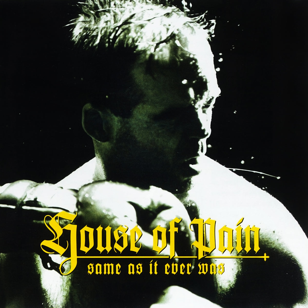 House of Pain: Same as It Ever Was (30th Anniversary) CD