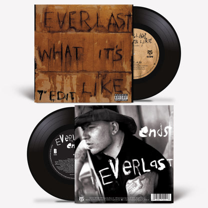 Everlast: What It's Like/Ends 7" Vinyl